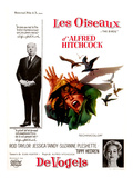 The Birds, (AKA 'Alfred Hitchcock's the Birds'), Alfred Hitchcock, Tippi Hedren, 1963