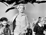 The Birds, Tippi Hedren, 1963