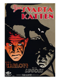 The Black Cat, (AKA Den Svarta Katten), L-R: Boris Karloff, Bela Lugosi, 1934
