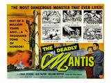 The Deadly Mantis, Bottom Right, From Left: Alix Talton, Craig Stevens, 1957