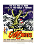 The Deadly Mantis, Bottom From Left: Alix Talton, Craig Stevens, 1957