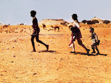 Walkabout, David Gulpilil, Jenny Agutter, Lucien John, 1971