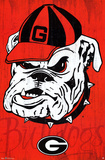 University of Georgia Bulldogs NCAA Poster