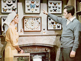 The Collector, Samantha Eggar, Terence Stamp, 1965