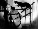 The Black Cat, David Manners, 1934