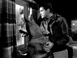 Saboteur, Robert Cummings, 1942