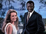 Guess Who's Coming To Dinner, Katharine Houghton, Sidney Poitier, 1967