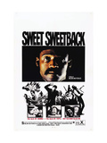 Sweet Sweetback's Baadasssss Song, Melvin Van Peebles, 1971