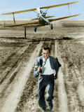 North By Northwest, Cary Grant, 1959