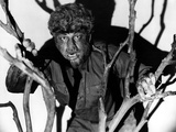 The Wolf Man, Lon Chaney, Jr., 1941