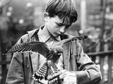 Kes, David Bradley, 1969