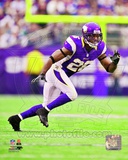 Antoine Winfield 2012 Action