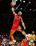 Dennis Rodman 1995-96 Action