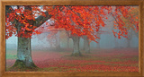 �rboles Rojos Framed Canvas Print