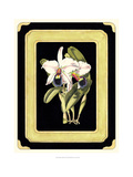 Orchids on Black I