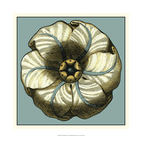 Floral Medallion IV