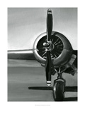 Vintage Flight I