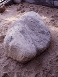 Plymouth Rock Is Traditional Arrival Site William Bradford and Mayflower Pilgrims in 1620