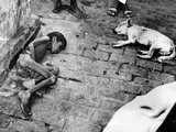 In Calcutta at the Peak of India's Famine in Late October 1943