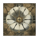 Rosette Detail I