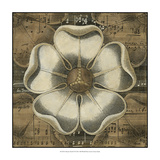 Rosette Detail VI
