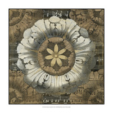 Rosette Detail II