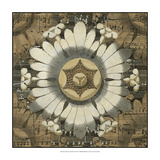 Rosette Detail V