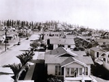 Forest of Derricks in the Signal Hill Oil Fields Near Long Beach, California, 1933