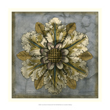 Rosette and Damask I