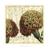Vintage Composition IV Giclee Print