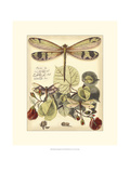 Whimsical Dragonflies II