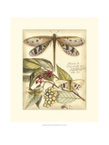 Whimsical Dragonflies I Giclee Print