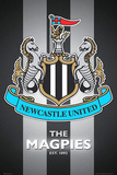 Newcastle United FC - The Magpies Club Crest