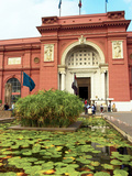 Papyrus in a Lily Pond, Cairo, Egypt