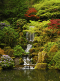 Spring, Portland Japanese Garden, Portland, Oregon, USA