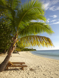 Beach and Palm Trees, Plantation Island Resort, Malolo Lailai Island, Mamanuca Islands, Fiji