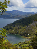 Queen Charlotte Track, Marlborough Sounds, South Island, New Zealand
