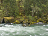 The Umpqua River, Oregon, USA