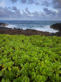 Poipu, Kauai, Hawaii, USA