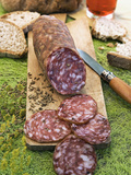 Finocchiona, Tuscan Salami with Wild Fennel Seeds, Florence, Tuscany, Italy, Italian Gastronomy