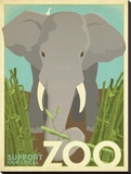 Zoo Elephant