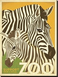 Zoo Zebra