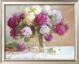 Elizabeth's Hydrangeas