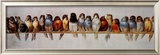 The Bird Perch