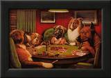 Bold Bluff
