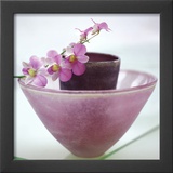 Orchids