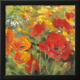 Oriental Poppy Field I