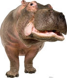 Hippopotamus Lifesize Standup Poster