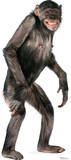 Chimpanzee Lifesize Standup Poster