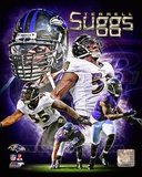 Terrell Suggs 2013 Portrait Plus